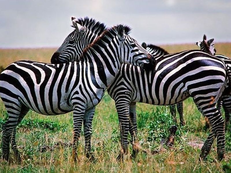 Vacant Land Residential For Sale In Northam - Photo 10