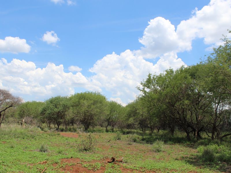 Vacant Land Residential For Sale In Northam - Photo 6