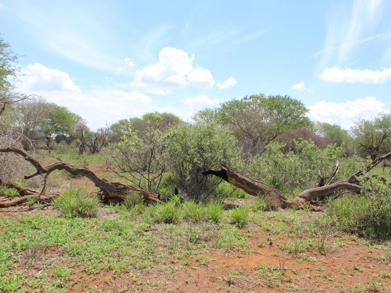 Vacant Land Residential For Sale In Northam - Photo 7