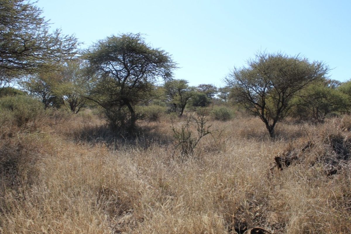 Vacant Land Residential For Sale In Northam - Photo 2