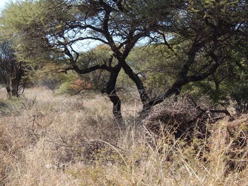 Vacant Land Residential For Sale In Northam - Photo 7