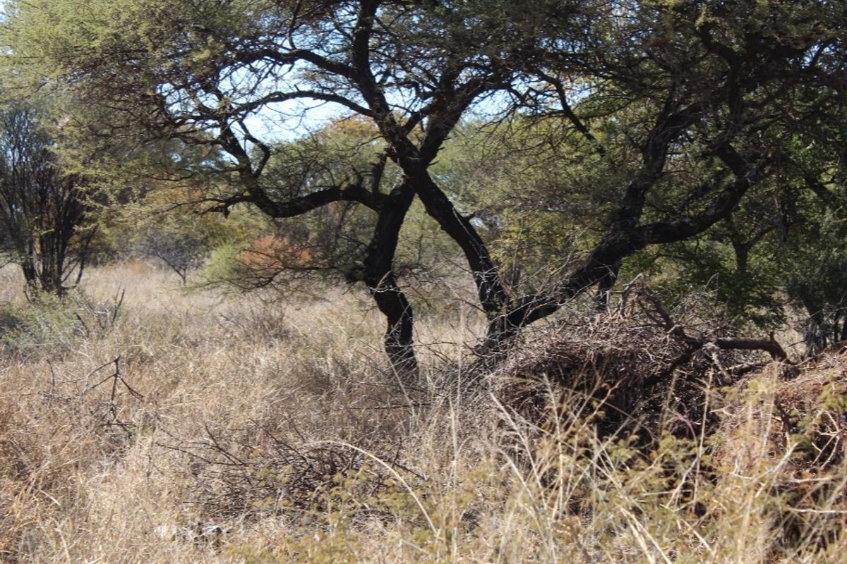 Vacant Land Residential For Sale In Northam - Photo 3