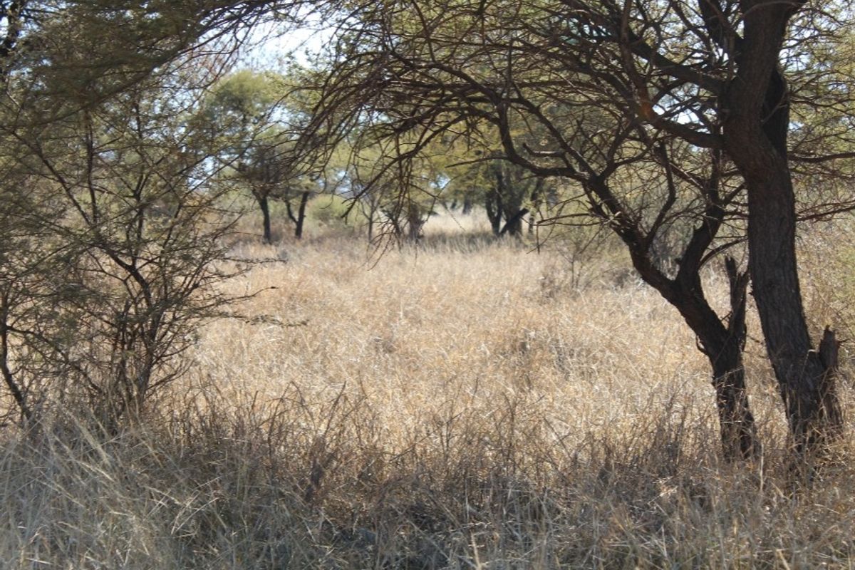 Vacant Land Residential For Sale In Northam - Photo 4