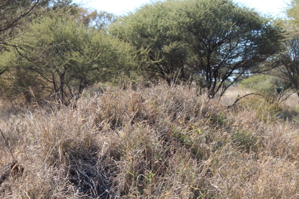 Vacant Land Residential For Sale In Northam - Photo 5