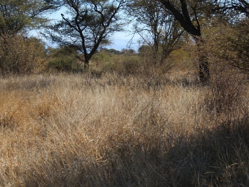 Vacant Land Residential For Sale In Northam - Photo 7