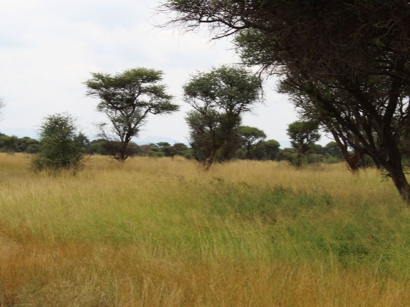 3.2 Ha Vacant Land For Sale in Northam - Photo 9