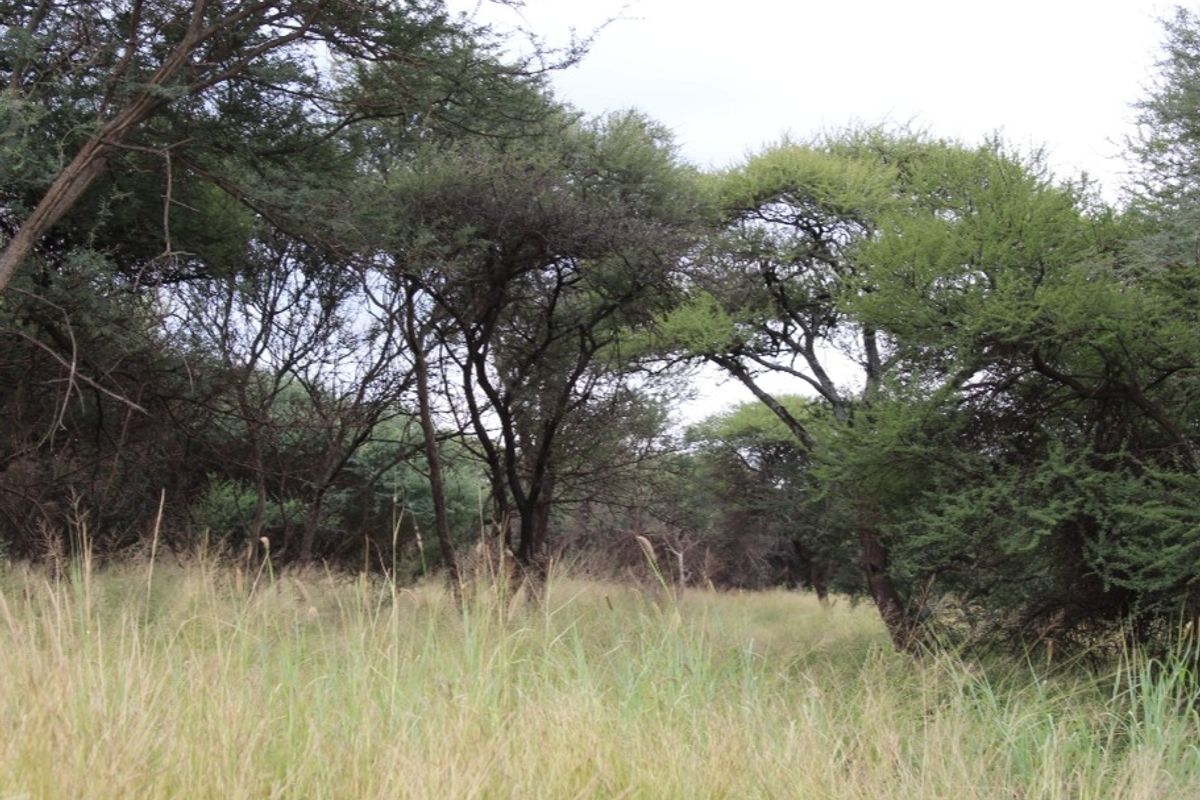 3.2 Ha Vacant Land For Sale in Northam - Photo 5