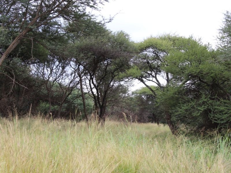 3.2 Ha Vacant Land For Sale in Northam - Photo 5