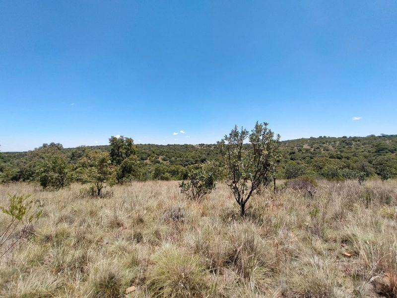 Safe, Secure and Exclusive - Photo 10