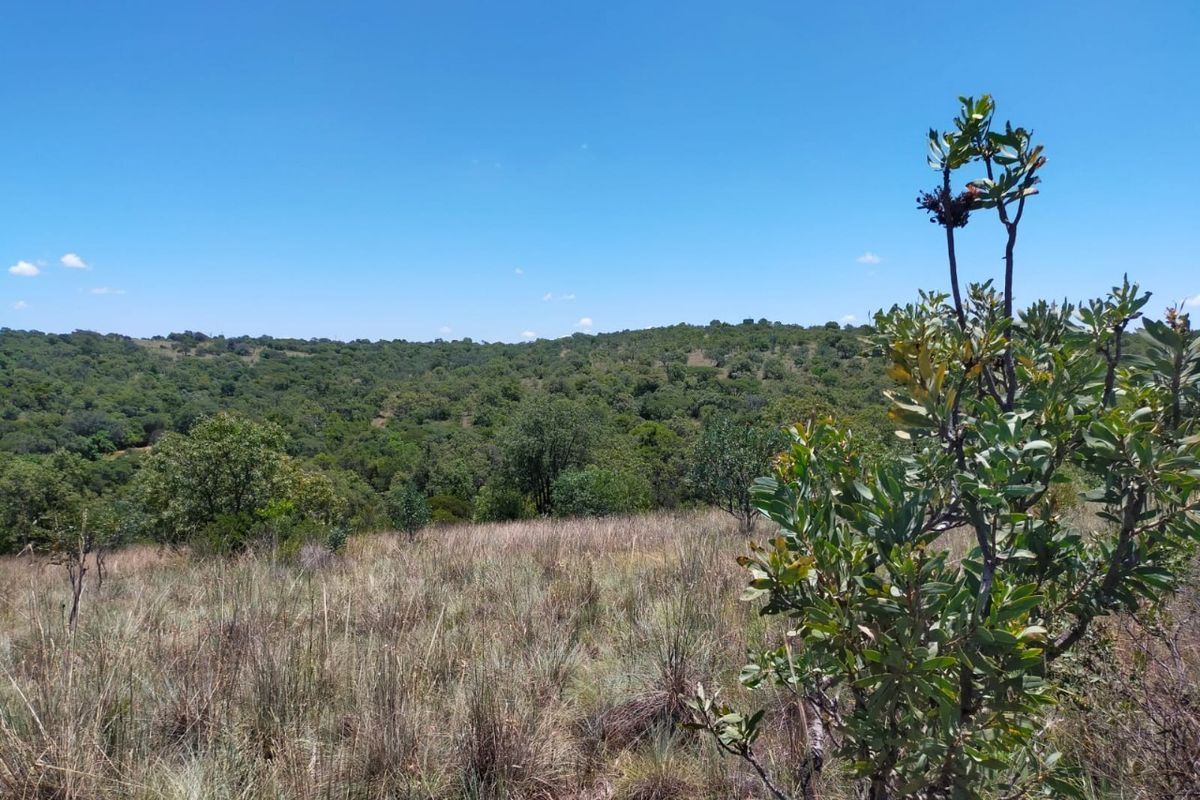 Safe, Secure and Exclusive - Photo 5