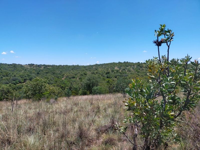 Safe, Secure and Exclusive - Photo 5