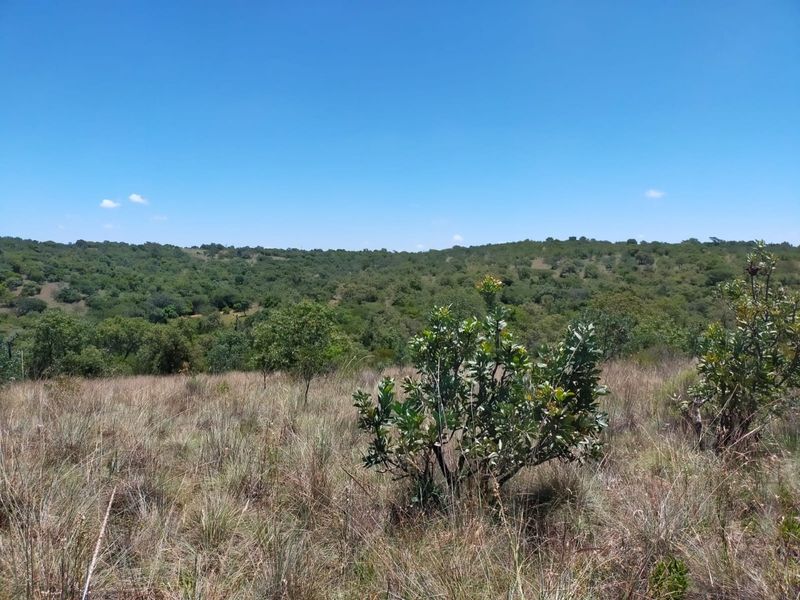 Safe, Secure and Exclusive - Photo 9