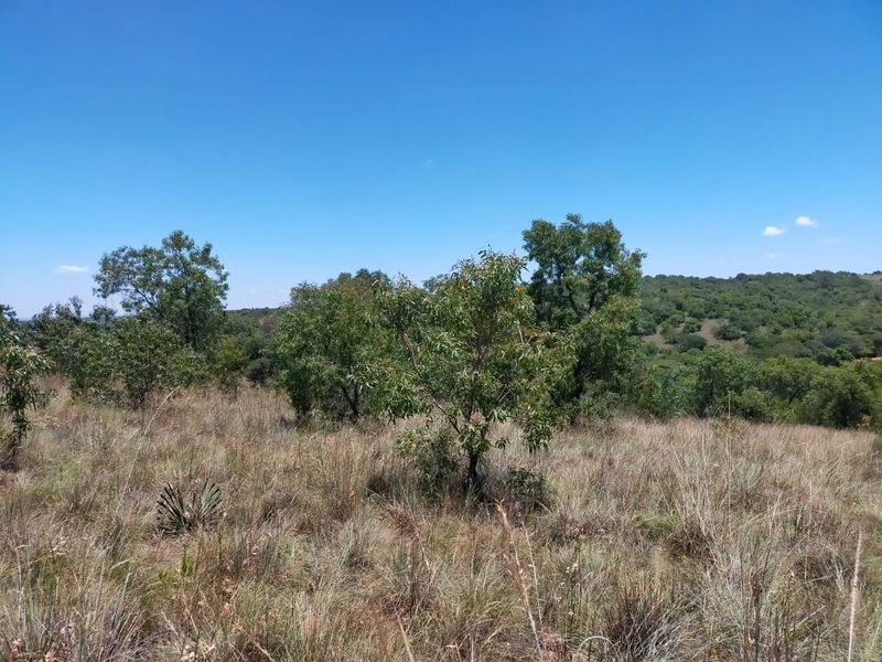 Safe, Secure and Exclusive - Photo 8