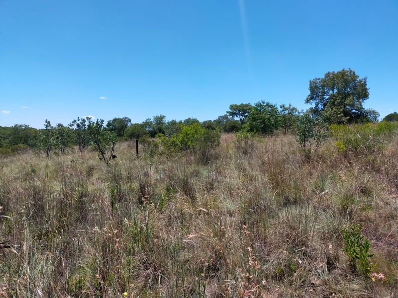 Safe, Secure and Exclusive - Photo 7