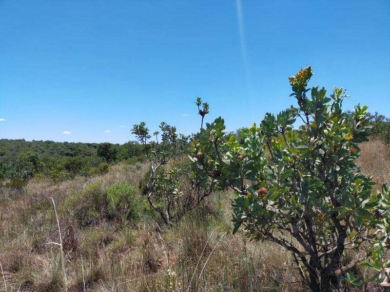 Safe, Secure and Exclusive - Photo 6