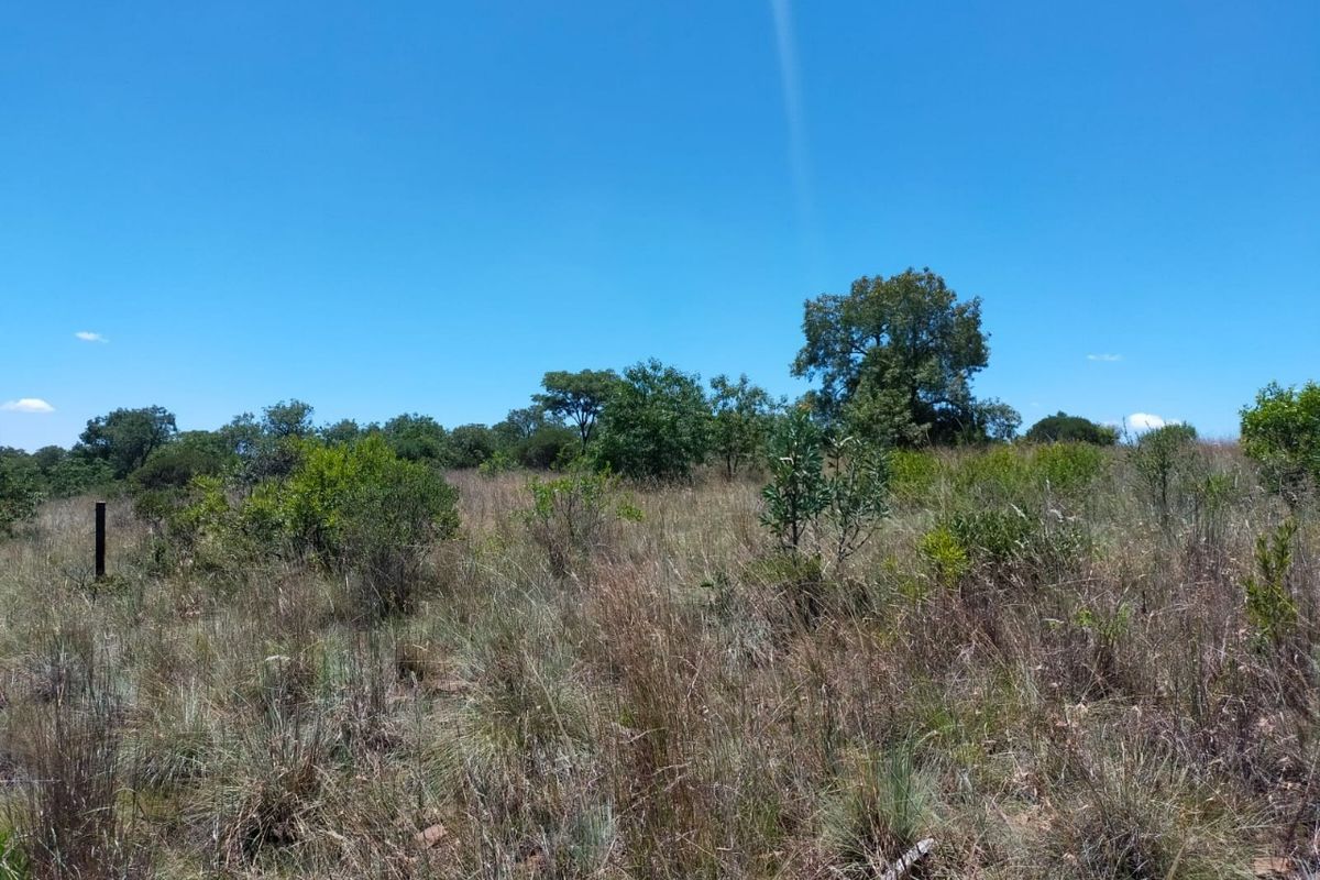 Safe, Secure and Exclusive - Photo 3