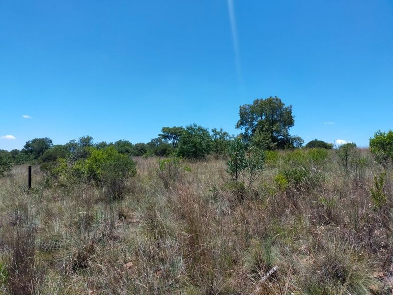 Safe, Secure and Exclusive - Photo 3