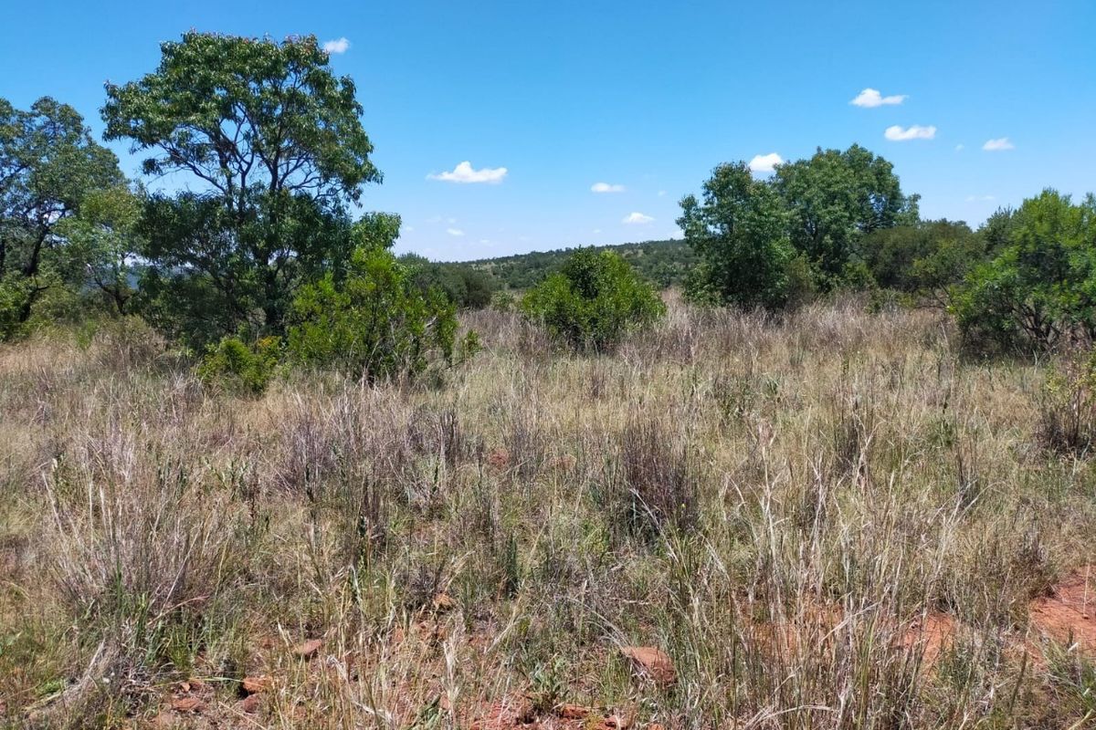 Safe, Secure and Exclusive - Photo 3