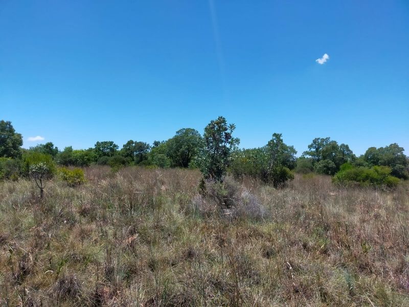 Safe, Secure and Exclusive - Photo 8