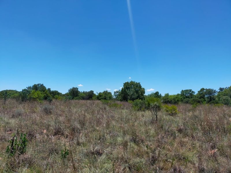 Safe, Secure and Exclusive - Photo 7