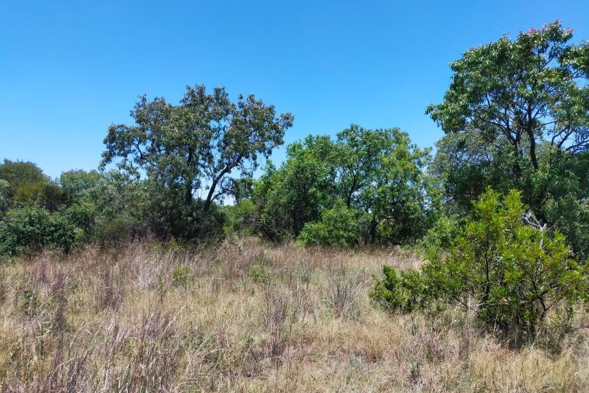 Safe, Secure and Exclusive - Photo 2