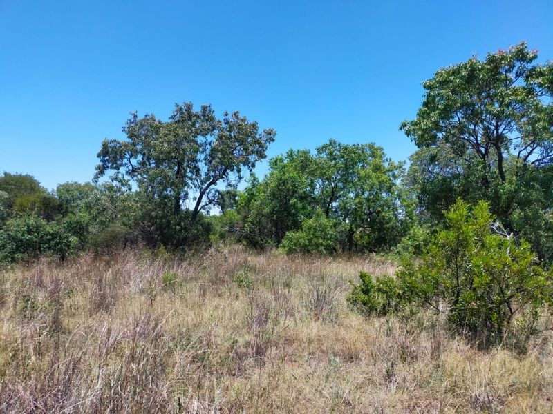 Safe, Secure and Exclusive - Photo 2