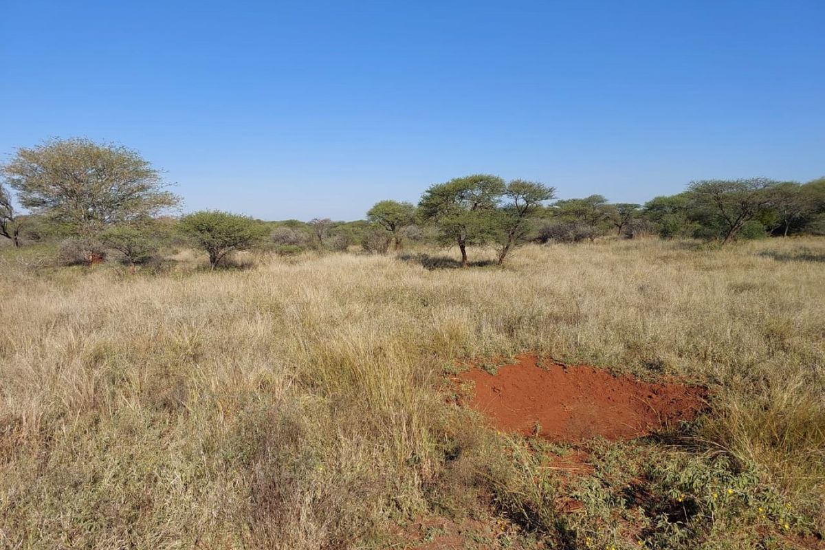 Farm For Sale In Northam - Photo 2