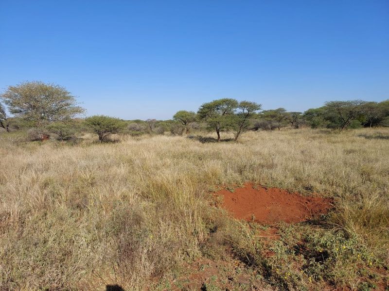 Farm For Sale In Northam - Photo 2