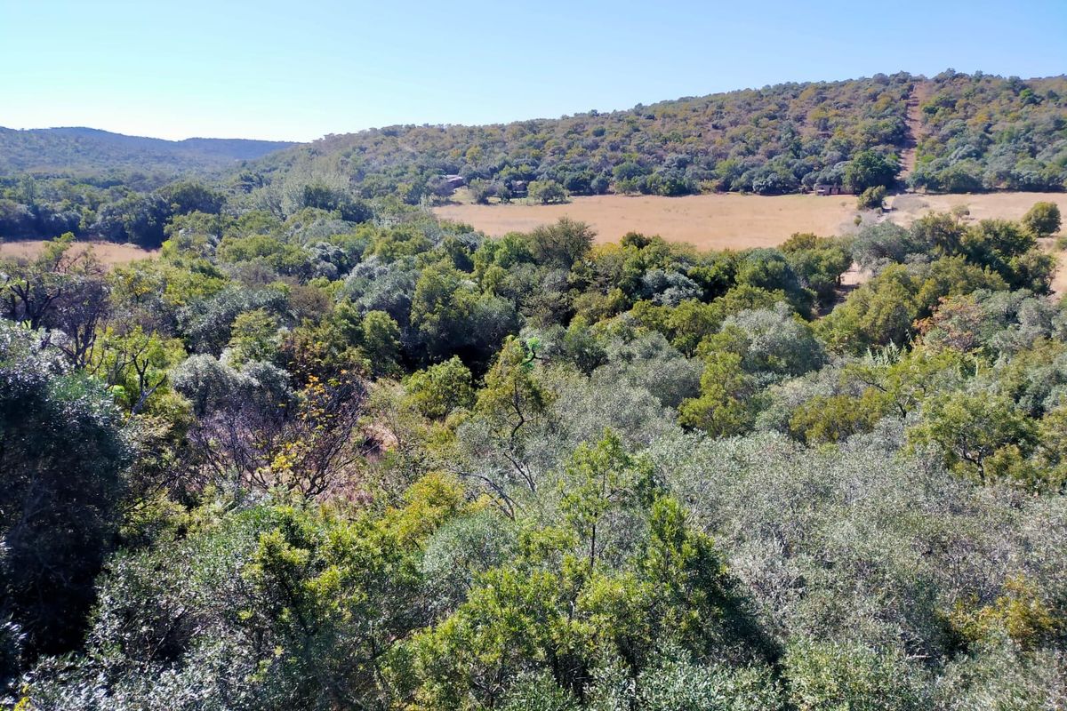 Farm For Sale In Swartruggens - Photo 2