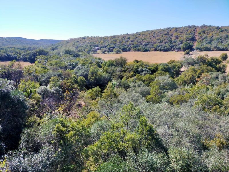 Farm For Sale In Swartruggens - Photo 2