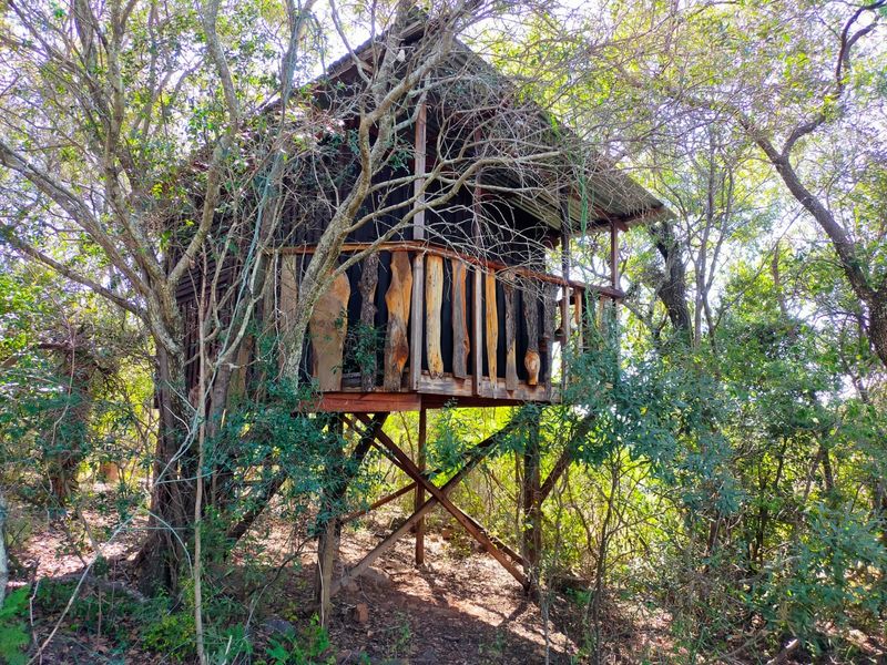 Farm For Sale In Koster - Photo 10