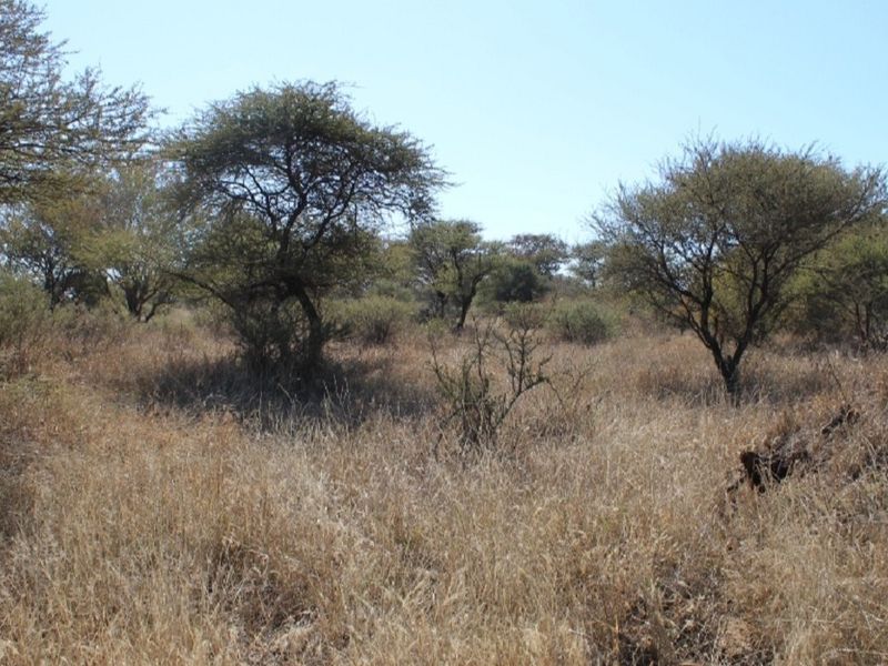 Vacant Land Residential For Sale In Northam - Photo 8