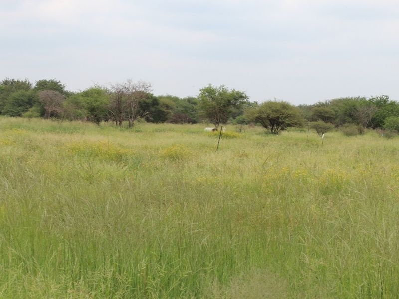 Vacant Land Residential For Sale In Northam - Photo 5
