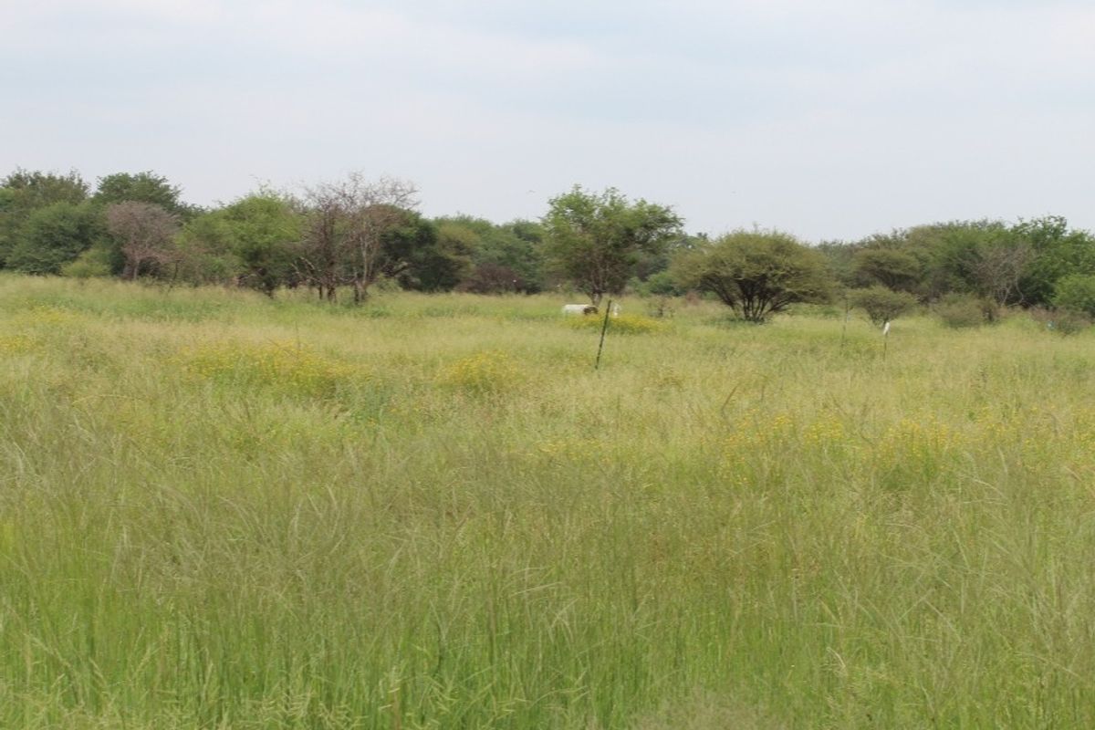 Vacant Land Residential For Sale In Northam - Photo 2