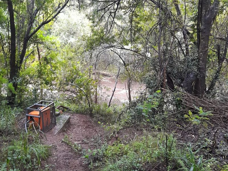 A natural wooded area on the property featuring a dirt path leading toward a riverbank, surrounded by mature trees and dense foliage.