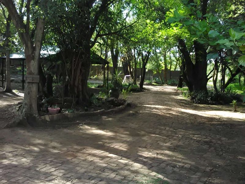 A shaded garden area featuring mature trees and a brick-paved pathway leading through the property grounds.