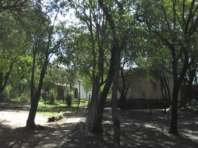 A view of the farm grounds featuring mature trees, a paved pathway, and glimpses of the property's exterior structures.