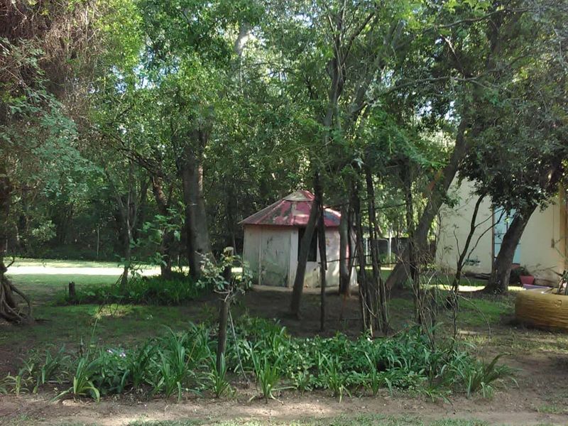 A view of a wooded garden area on the farm property featuring mature trees and a small, weathered outbuilding with a metal roof.