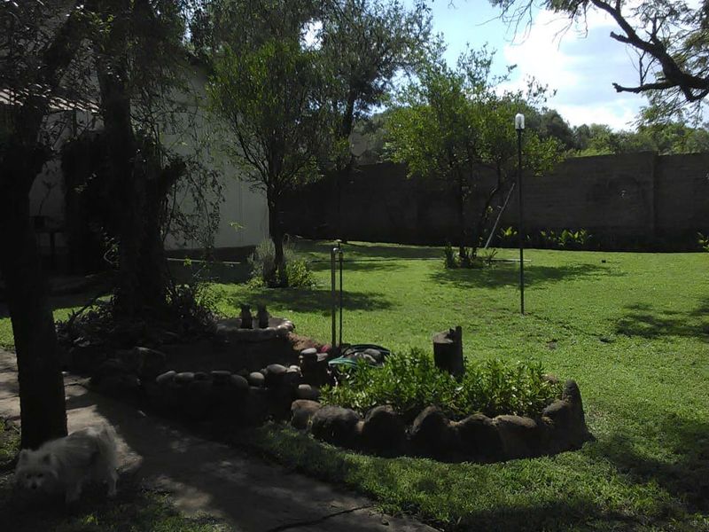 A spacious garden area featuring a stone-bordered planter, mature trees, and a concrete pathway leading through the lawn.