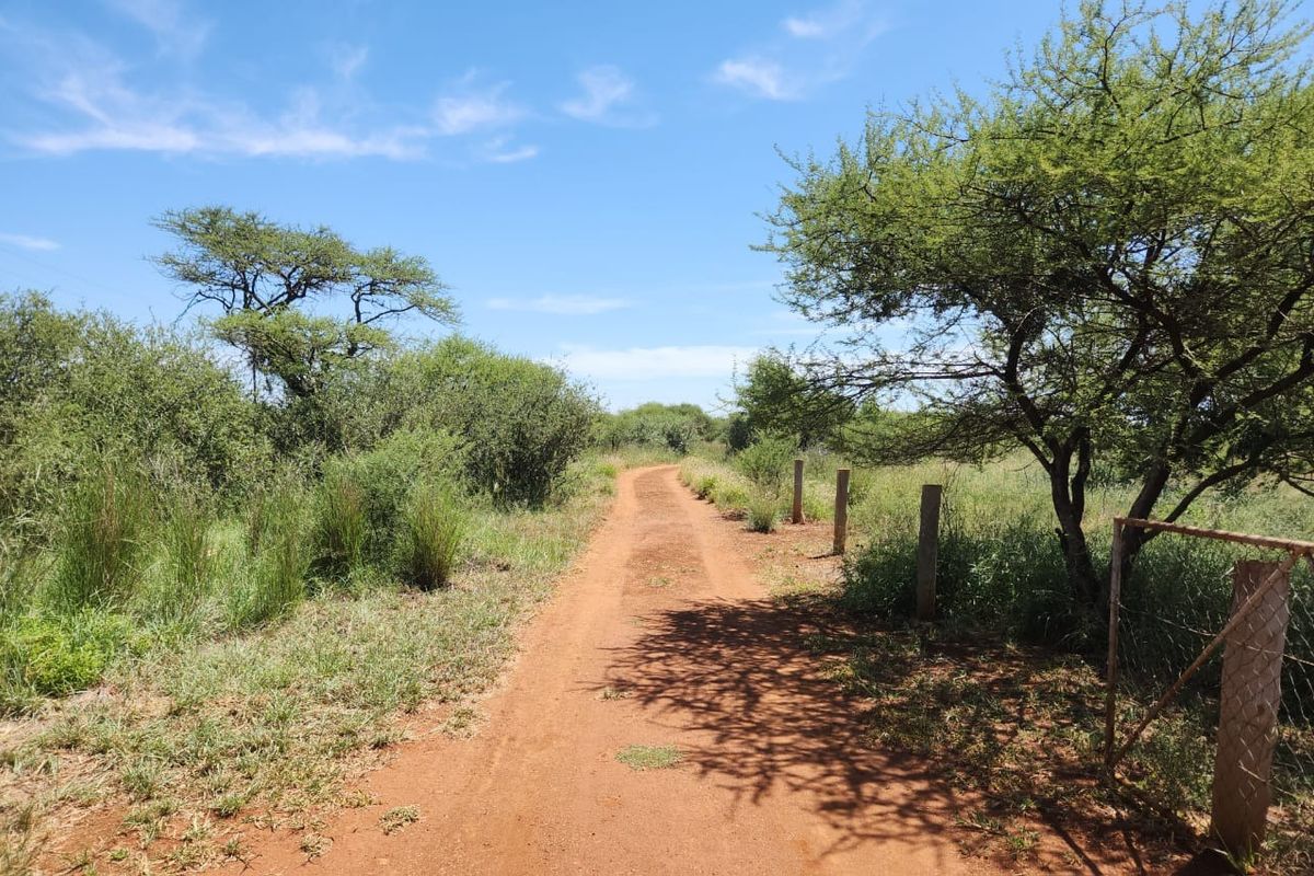 A dirt farm road leading through the property, flanked by natural vegetation, indigenous trees, and simple wire fencing.