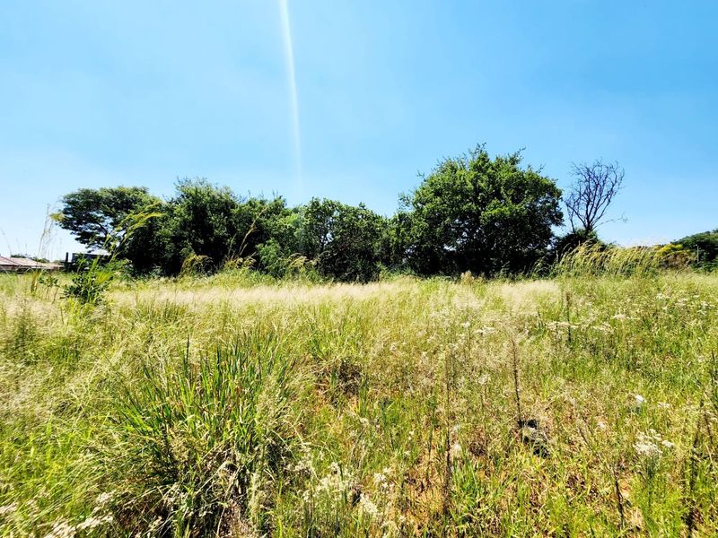 Vacant Land Residential For Sale In Rustenburg - Photo 3