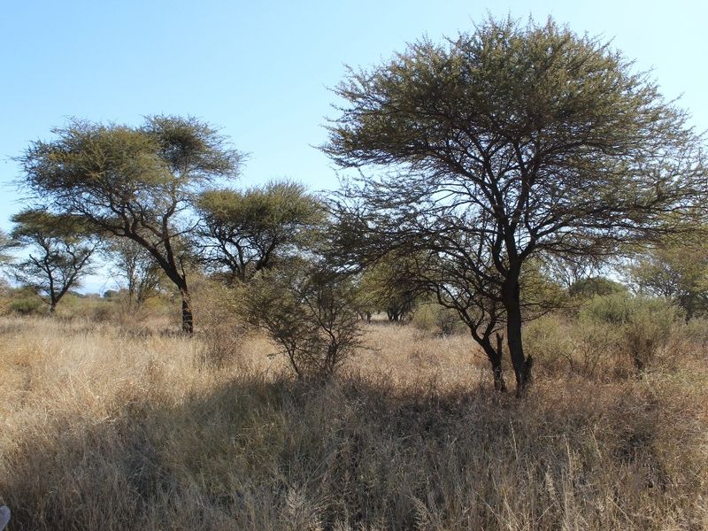 Vacant Land Residential For Sale In Northam - Photo 9