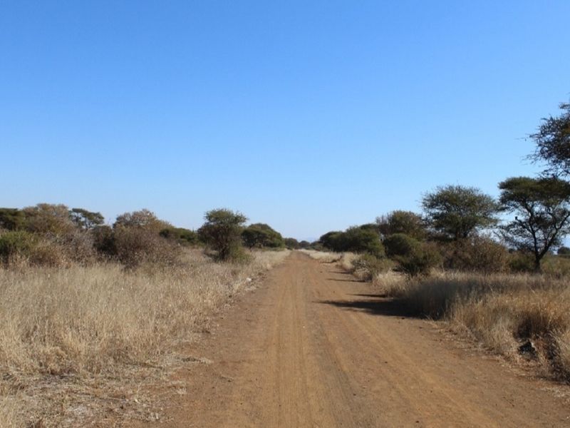 A view of a dirt access road leading through a vacant residential plot with native trees and dry grass.