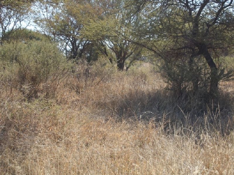 A view of the vacant residential land featuring natural vegetation and established native trees.