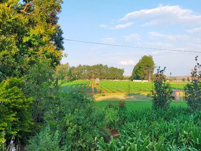 Farm For Sale In Rustenburg - Photo 6