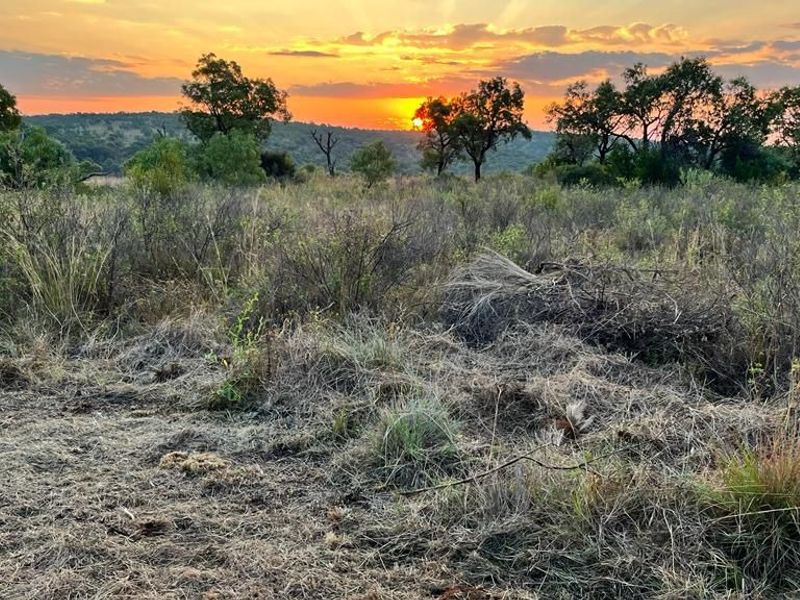 A scenic view of the vacant residential land at sunset, featuring natural bushveld vegetation and rolling landscape.