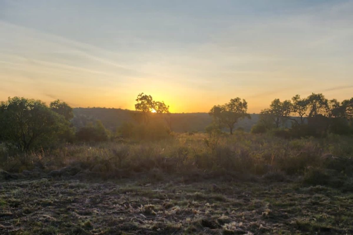 A scenic view of the vacant residential land at sunset, showcasing the natural landscape and surrounding vegetation.