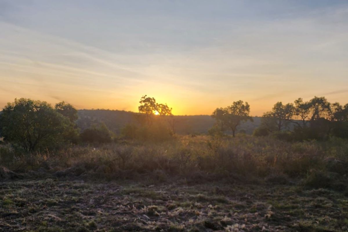 A scenic view of the vacant residential land at sunset, showcasing the natural landscape and surrounding vegetation.