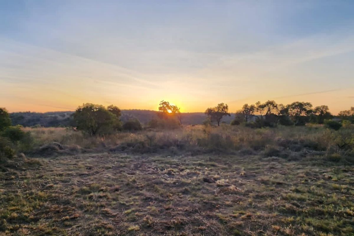 A scenic view of the vacant residential land at sunset, showcasing the natural landscape and surrounding vegetation.