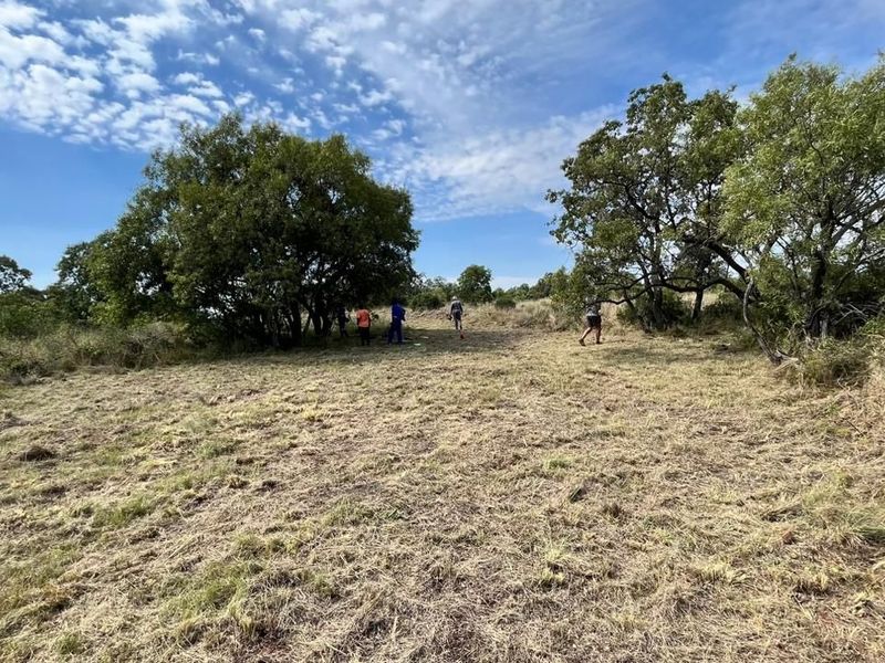 A view of a vacant residential plot featuring natural grass cover and mature trees, suitable for future development.